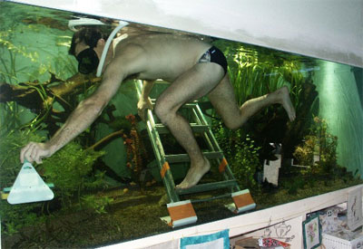 comment monter un aquarium d'eau douce