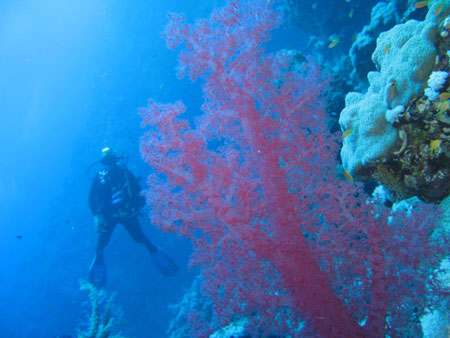Eau de mer - Divers - 