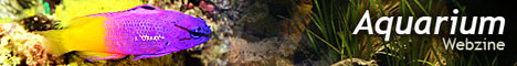 Aquarium Webzine